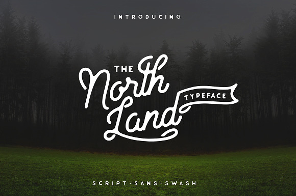 North Land Typeface - Font Bundle in Stamp Fonts - product preview 1