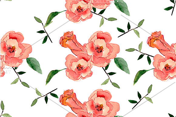 №133 Hibiscus watercolor in Illustrations - product preview 1