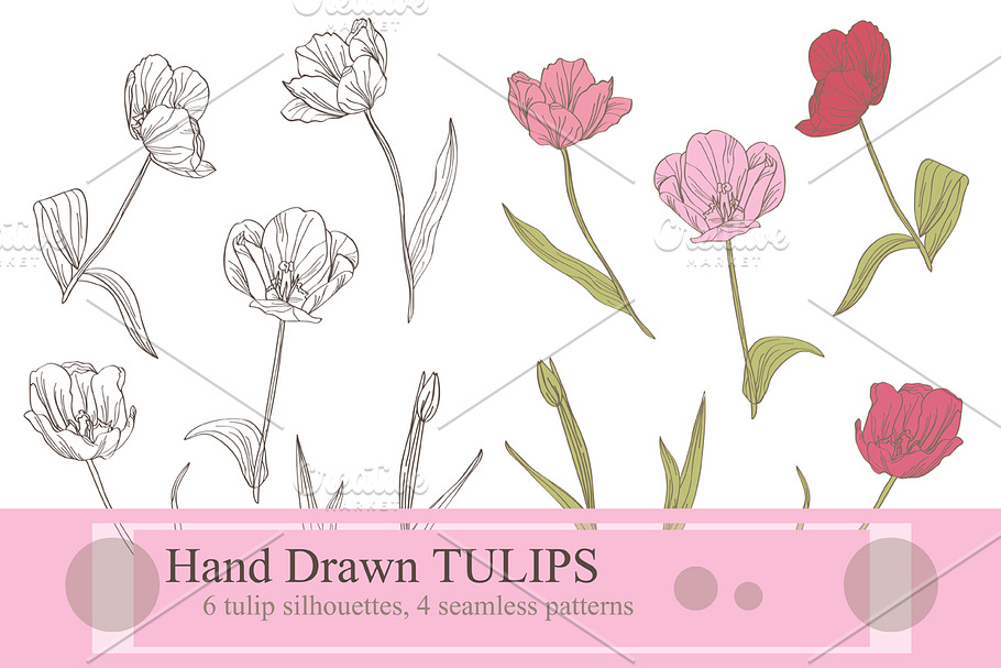 Hand Drawn Tulip Flowers