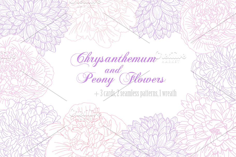 Chrysanthemum and Peony Flowers