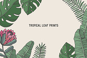 Tropical leaf prints