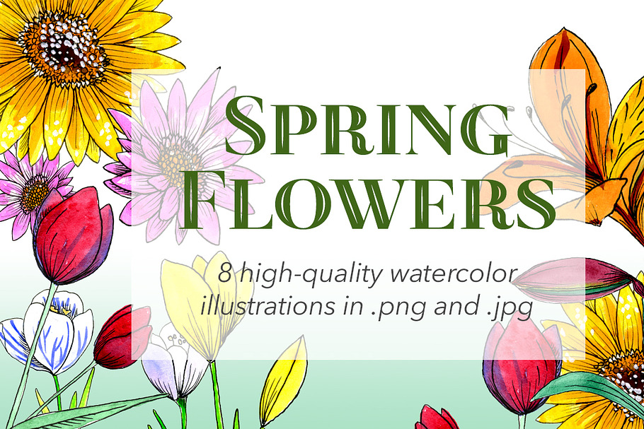 Spring Flowers Watercolors in Illustrations - product preview 8