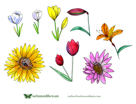 Spring Flowers Watercolors in Illustrations - product preview 1