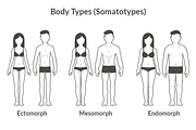 Bodytypes illustration