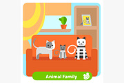 Set family cats in the room
