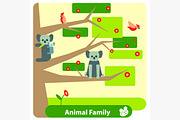 Family of koalas