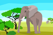 Elephant in a field with trees