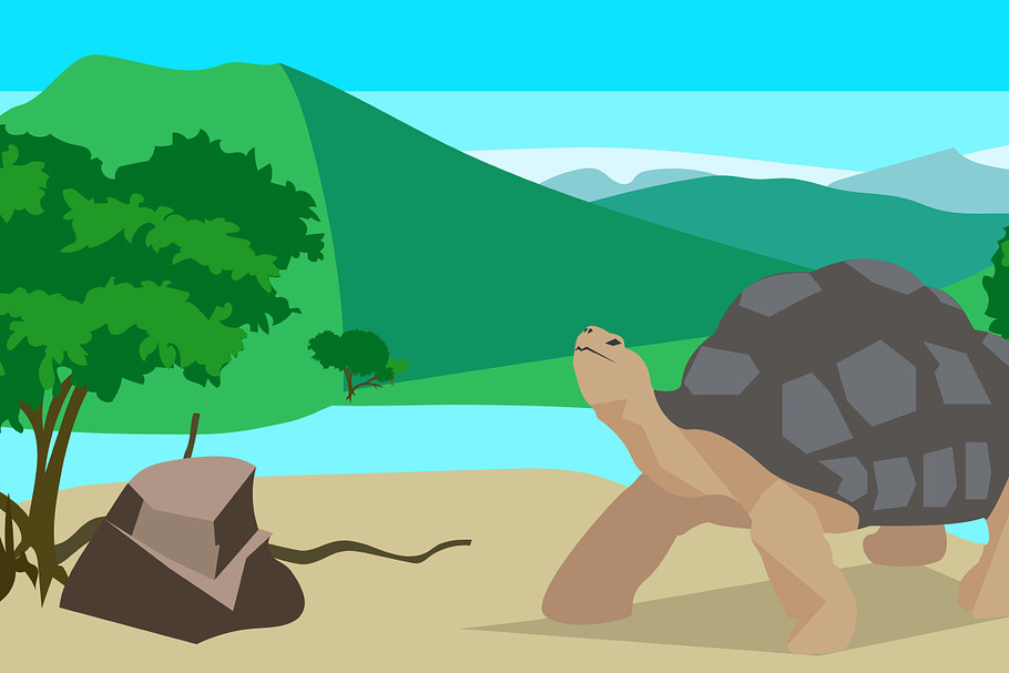 Tortoise near the river in Illustrations - product preview 8