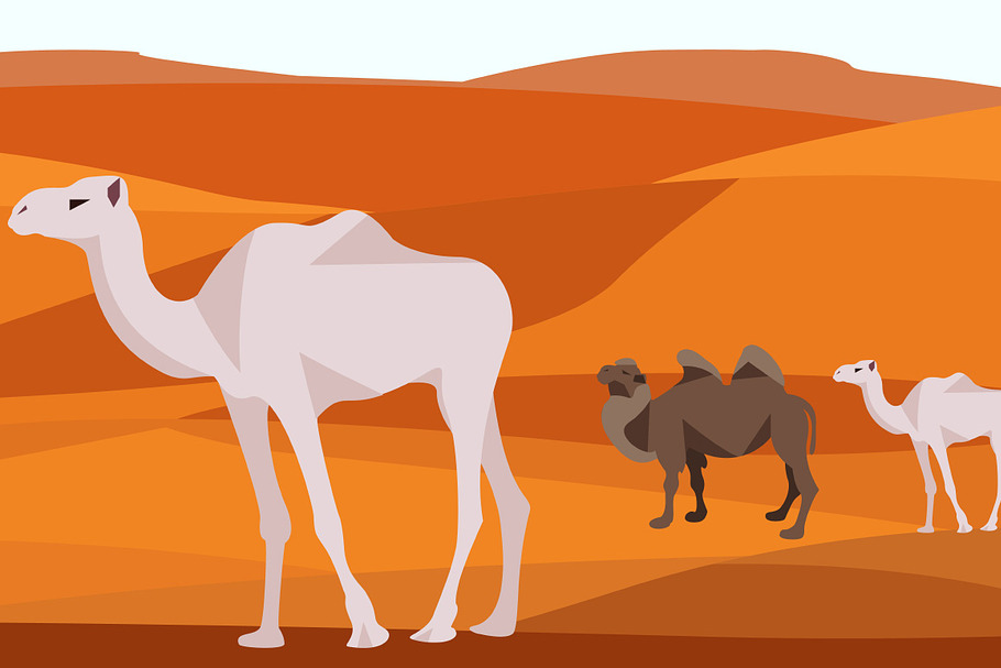 Camel in the desert in Illustrations - product preview 8