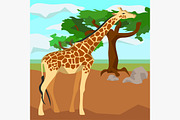 Giraffe on background trees