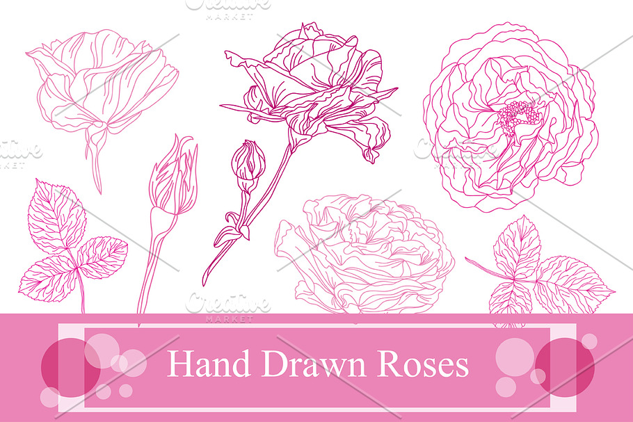 Hand Drawn Roses