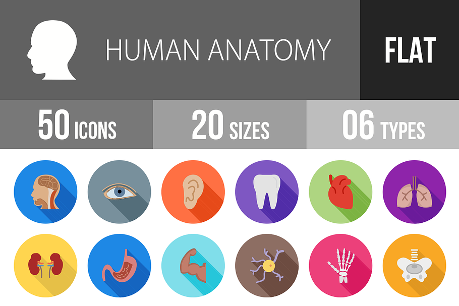50 Human Anatomy Flat Shadowed Icons