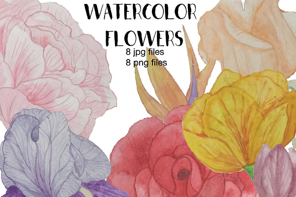Hand Painted Watercolor Flowers