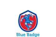Blue Badge Football Tuition Logo