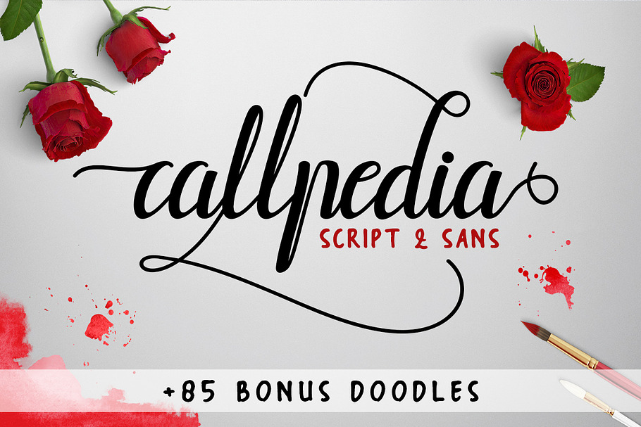Callpedia 2 Styles + Bonus in Script Fonts - product preview 8