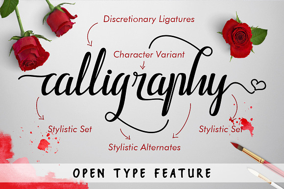 Callpedia 2 Styles + Bonus in Script Fonts - product preview 2