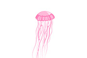 Pink Jellyfish Floating in Space