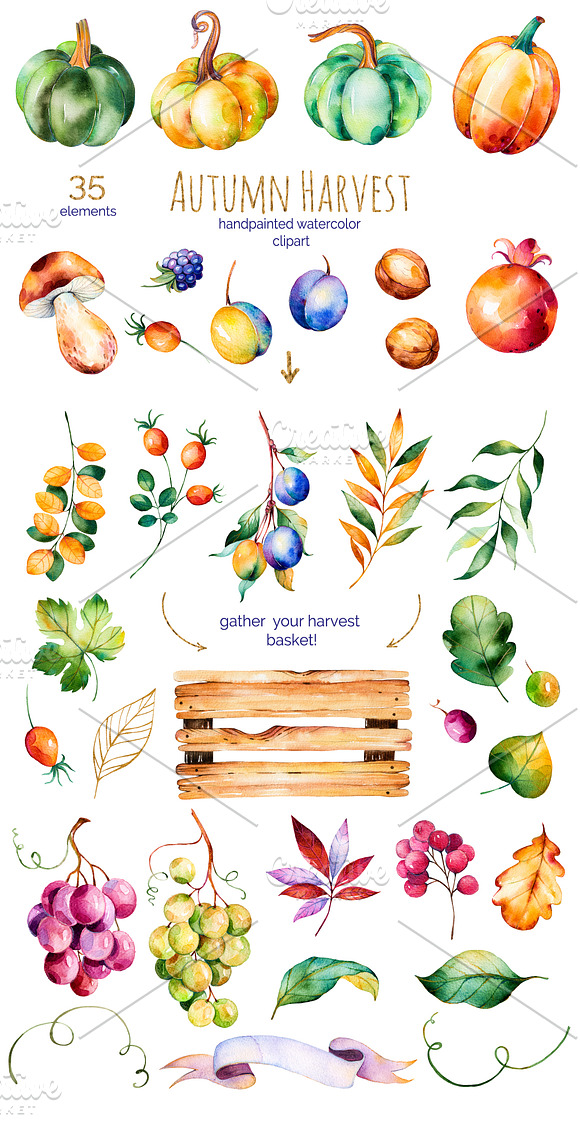 Autumn Harvest in Illustrations - product preview 1