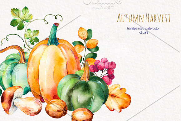 Autumn Harvest in Illustrations - product preview 3