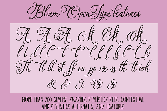 Bloem Script & Sans in Script Fonts - product preview 1