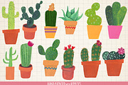 Cactus clip art hand painted