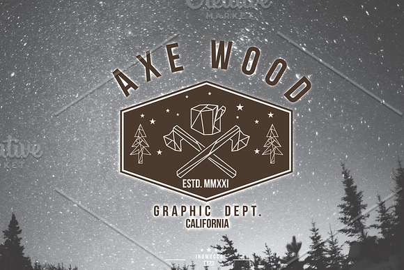 10 Geometric Vintage Badges in Logo Templates - product preview 3
