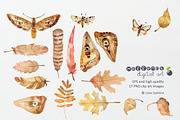 hand drawn nature clip art images