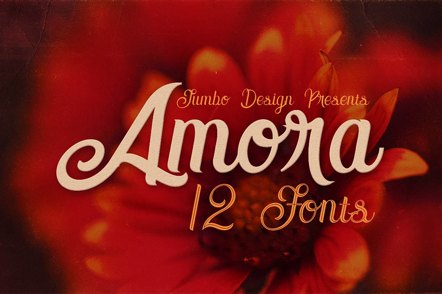 Amora Script in Script Fonts - product preview 8