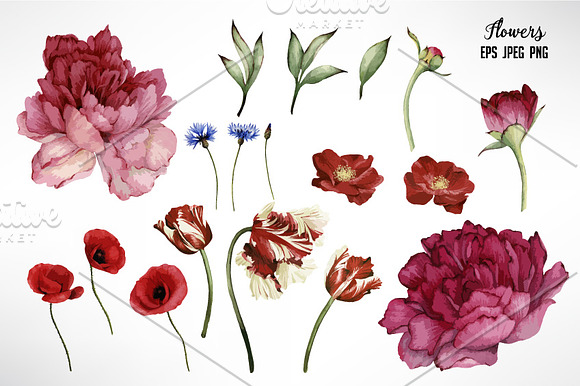 EPS Flowers in Illustrations - product preview 1