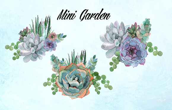 Watercolor Succulents Clip Art in Objects - product preview 1