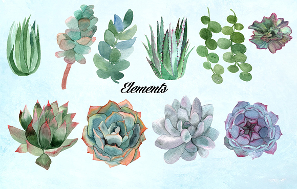 Watercolor Succulents Clip Art in Objects - product preview 2