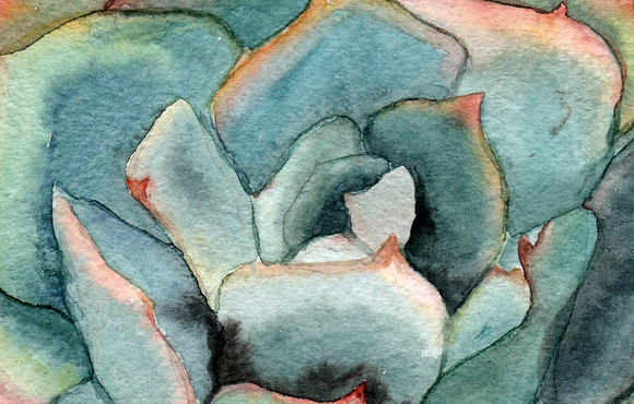 Watercolor Succulents Clip Art in Objects - product preview 3