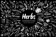 Herbs HandSketched Vector Elements