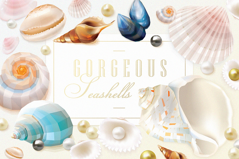 Gorgeous Seashells