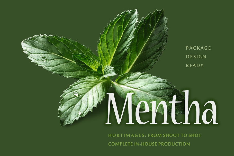 Mentha Piperita in Objects - product preview 8