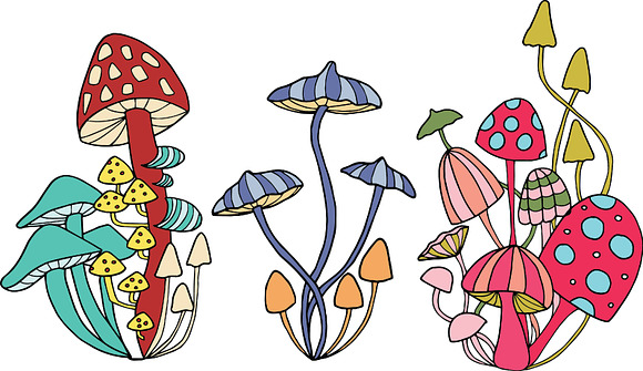 Mushrooms - color and outline in Illustrations - product preview 1