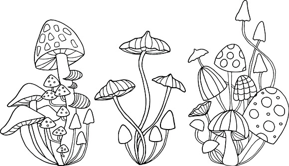Mushrooms - color and outline in Illustrations - product preview 2