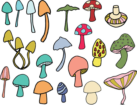 Mushrooms - color and outline in Illustrations - product preview 3