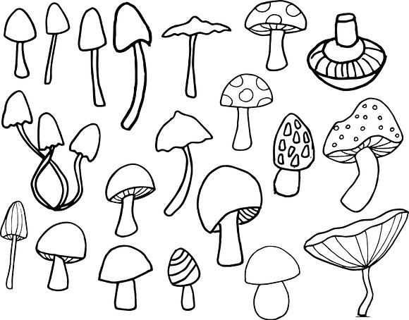 Mushrooms - color and outline in Illustrations - product preview 4