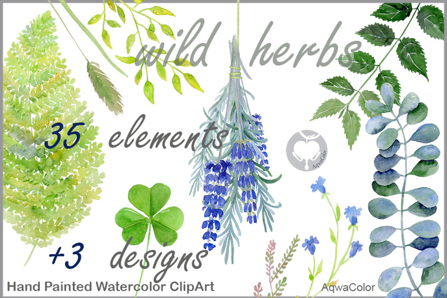 Warecolour clipart Wild herbs