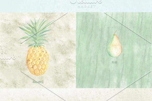 Watercolor fruits elements. Grape in Illustrations - product preview 1