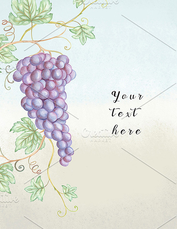 Watercolor fruits elements. Grape in Illustrations - product preview 2