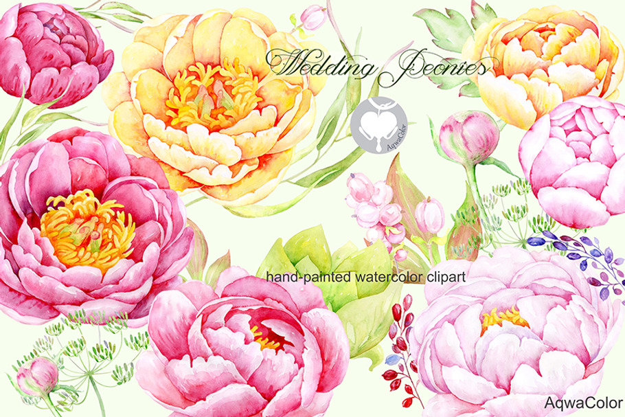 Watercolor clipart Wedding peonies in Illustrations - product preview 8