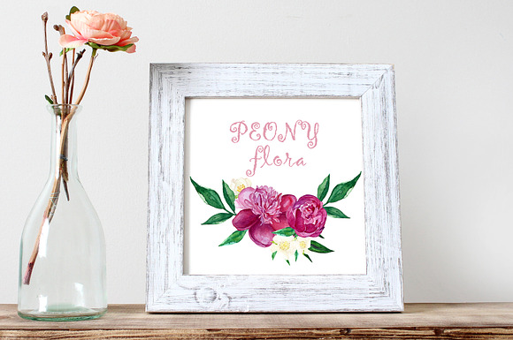 Peony flora watercolor illustrations in Illustrations - product preview 1