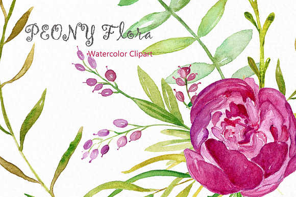 Peony flora watercolor illustrations in Illustrations - product preview 3