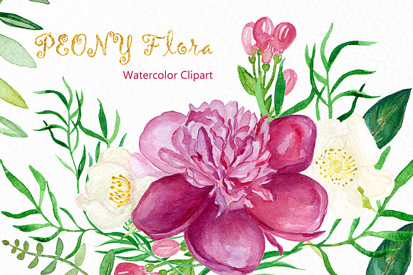 Peony flora watercolor illustrations in Illustrations - product preview 4