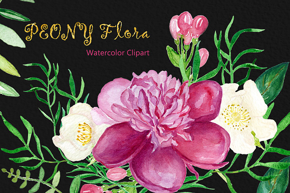 Peony flora watercolor illustrations in Illustrations - product preview 5