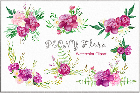 Peony flora watercolor illustrations in Illustrations - product preview 7