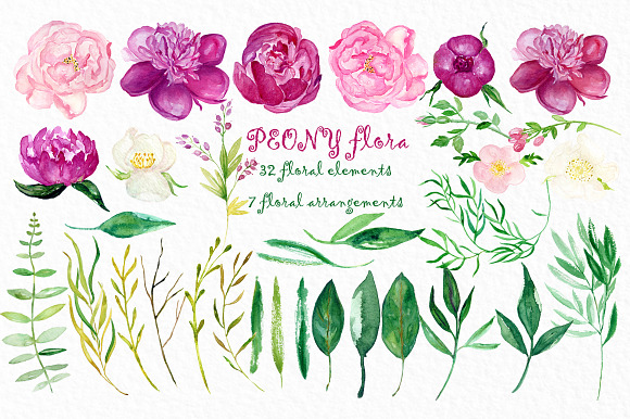Peony flora watercolor illustrations in Illustrations - product preview 8
