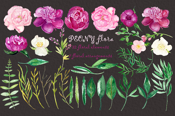Peony flora watercolor illustrations in Illustrations - product preview 9